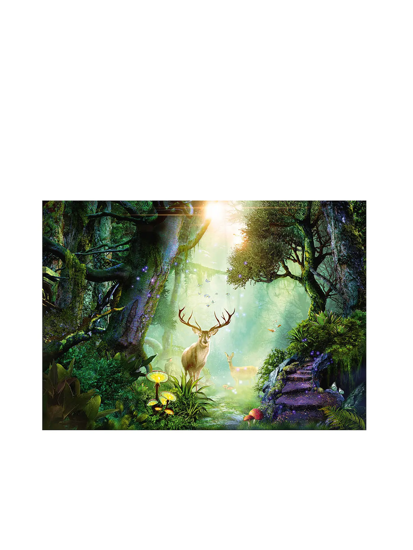 SCHMIDT-SPIELE | Puzzle Rehe im Wald 1000 Teile | 